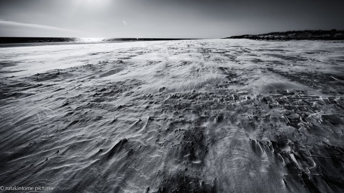 have you seen my tauntaun?