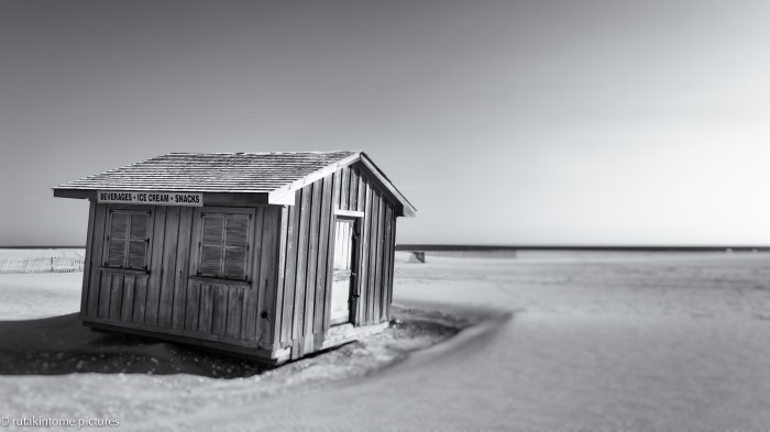 beverages ice cream snacks