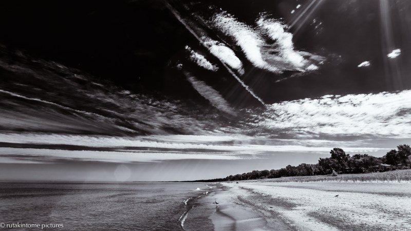 lake shore and light