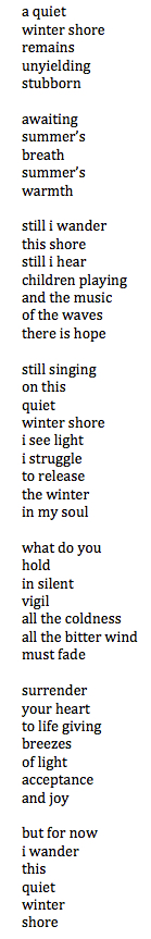 a quiet winter shore