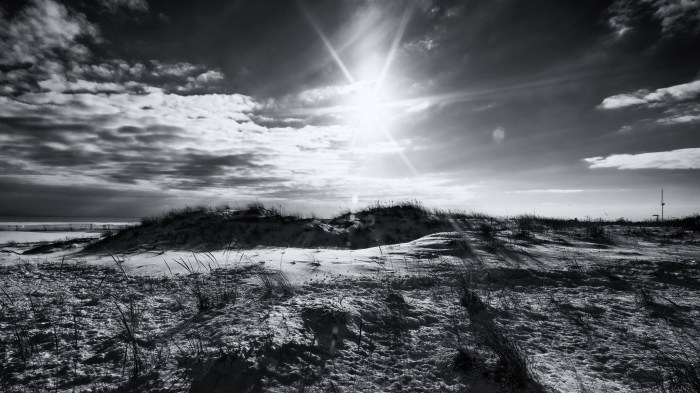 beneath the winter sun