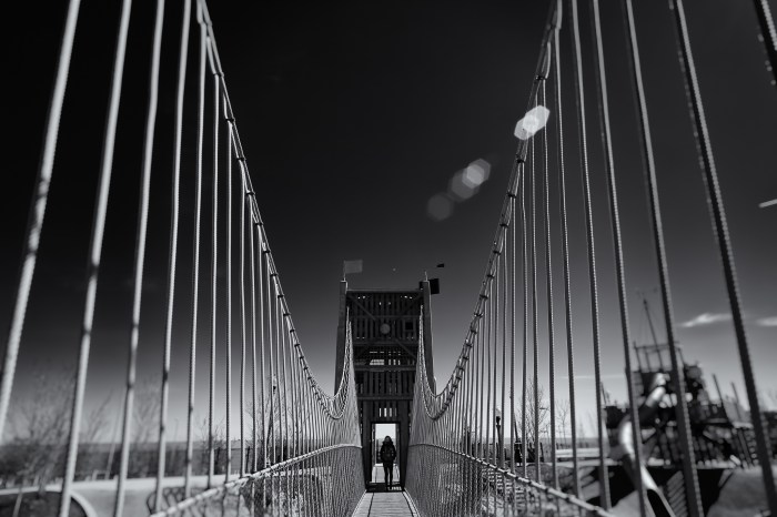 a bridge in the park