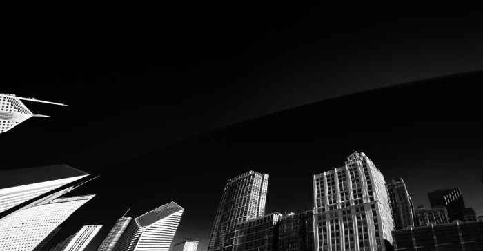 reflections of the bean