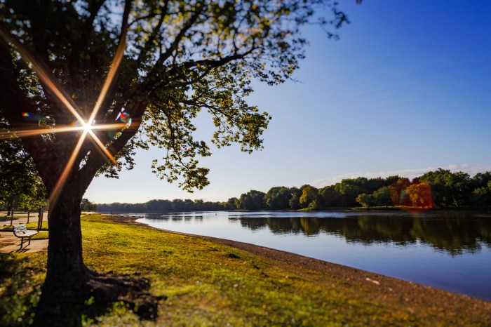 planted by the waters