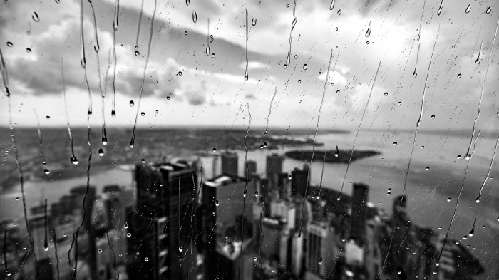 lower manhattan rain